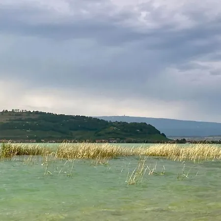 Ahornlounge Am Murtensee 아파트 *