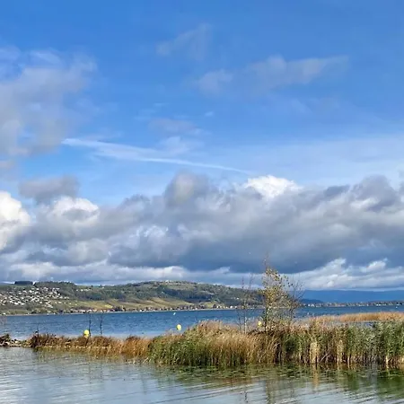 Ahornlounge Am Murtensee Διαμέρισμα