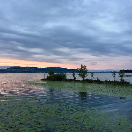 Ahornlounge Am Murtensee