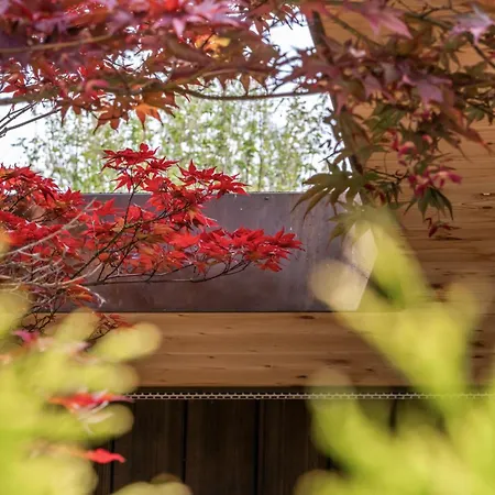 Ahornlounge Am Murtensee Apartment Faoug