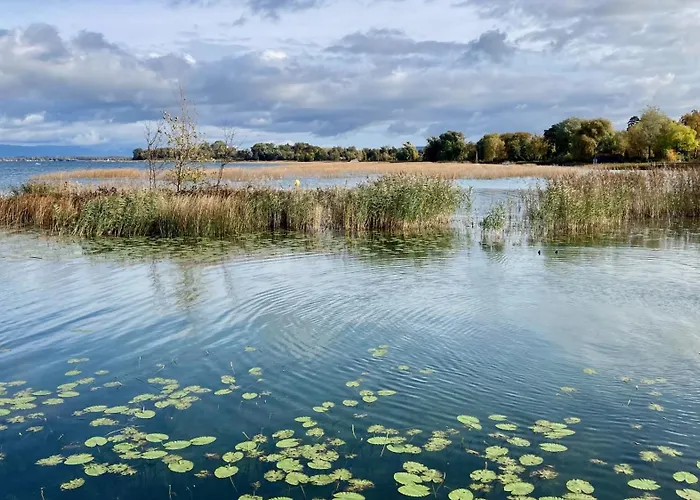 Apartament Ahornlounge Am Murtensee *
