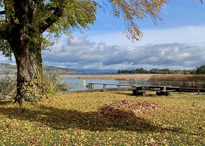 Ahornlounge Am Murtensee *