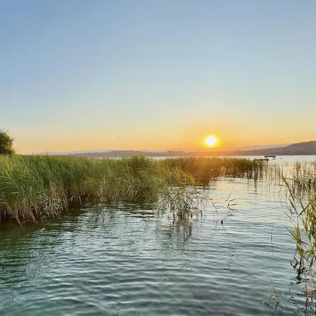 Ahornlounge Am Murtensee * Faoug