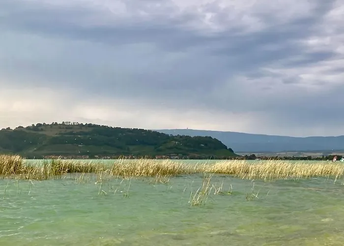 Ahornlounge Am Murtensee アパート *