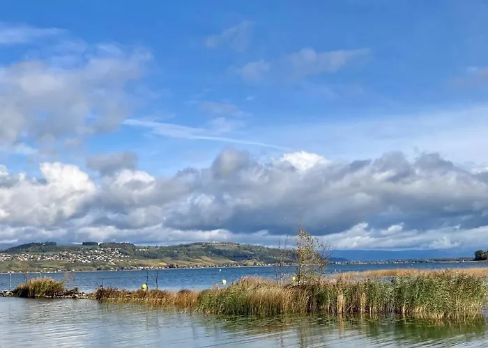 Ahornlounge Am Murtensee アパート