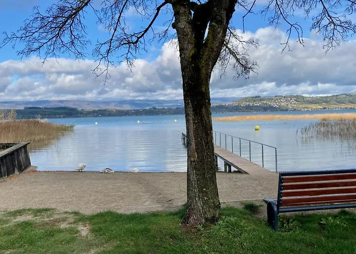 Ahornlounge Am Murtensee アパート Faoug