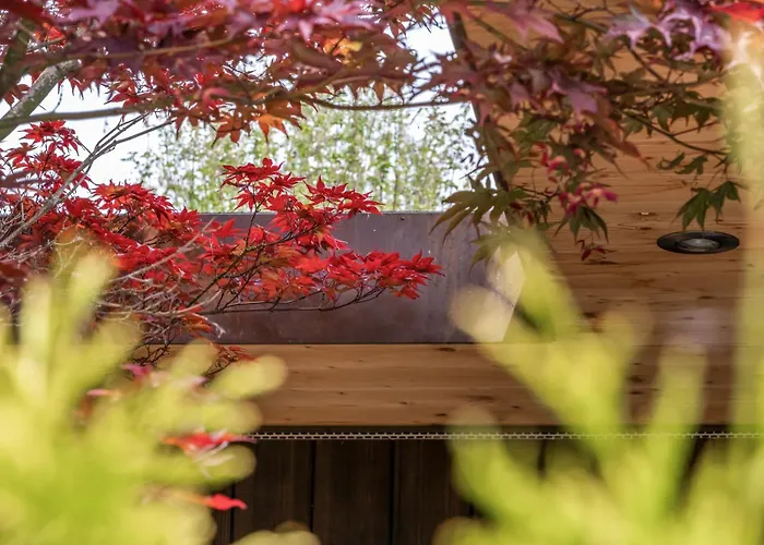 Ahornlounge Am Murtensee アパート Faoug